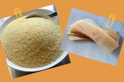 �������: ������ ������� � �������� � ����� ��������