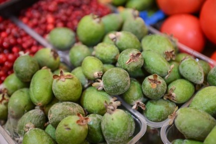 ������ ���������� ��������� �����