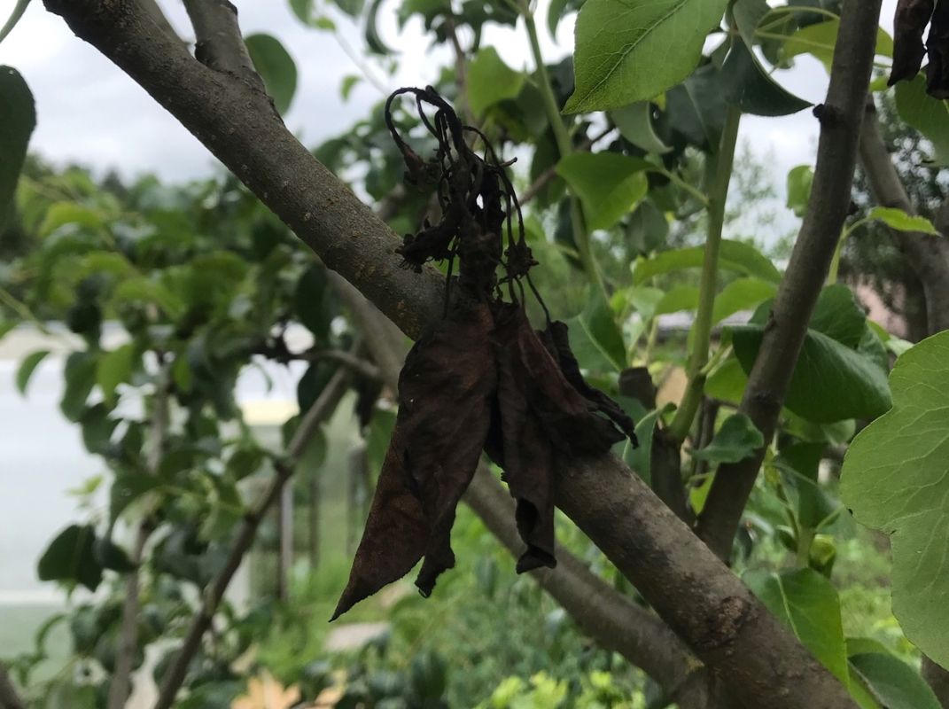 ������ ������ ����������� �������, �������, ������ �������� � �������� �������������� �����