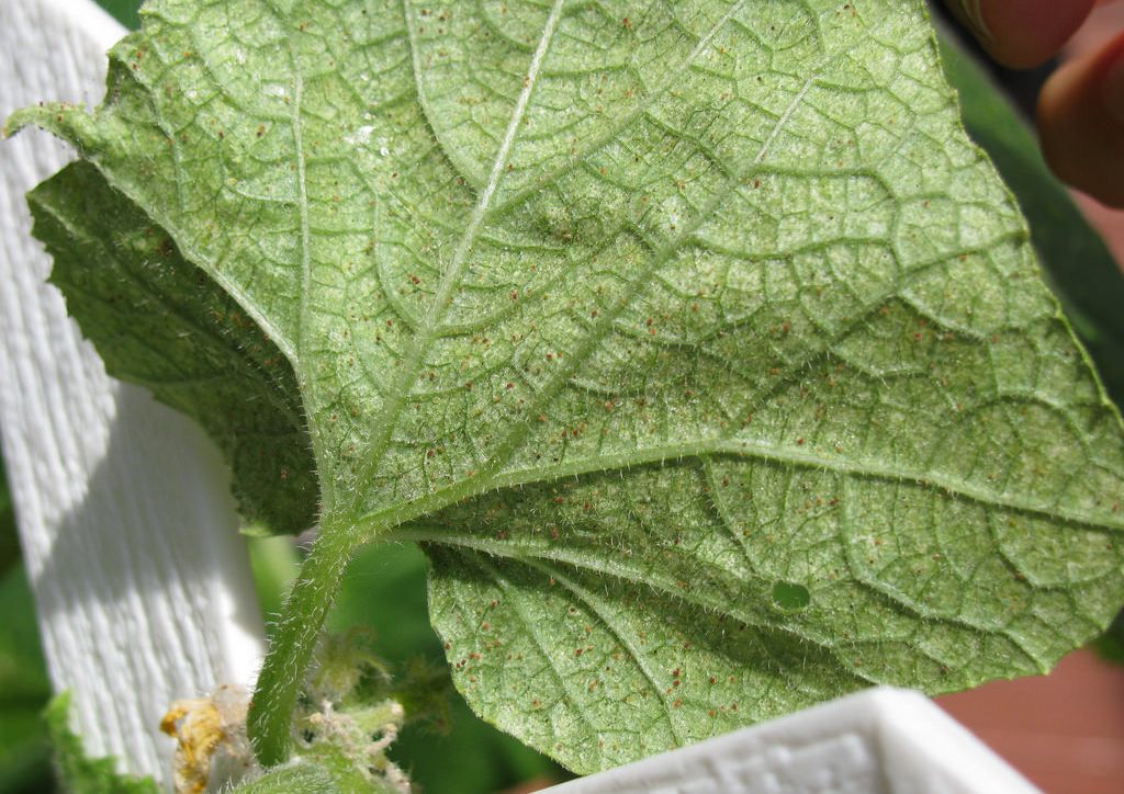 ��� ���������� � ��������� ������ �� ������� � �������� ������