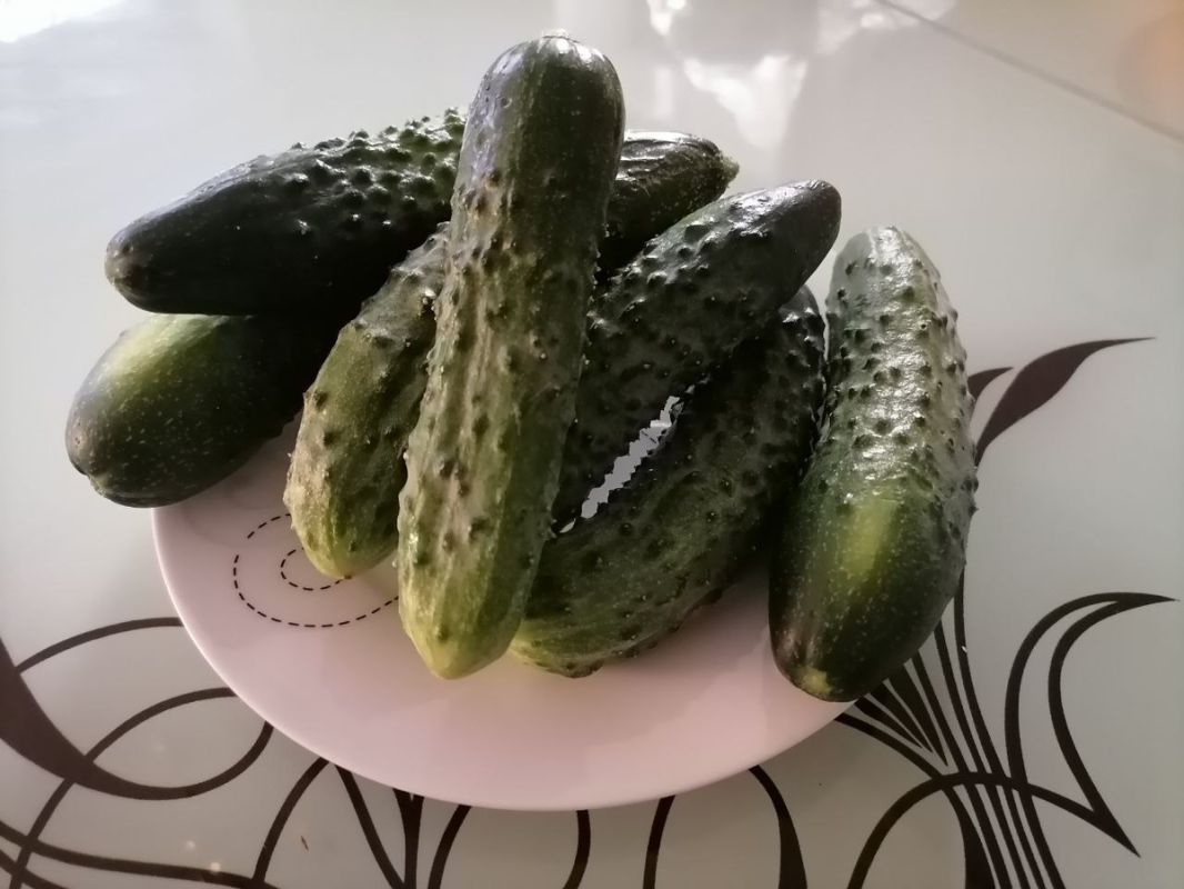 ������: ��� ������� ��������� ���� ��� ������� � ��������� ������