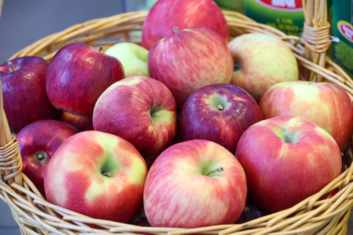 ������ ������� ��������: ������ ��� ������