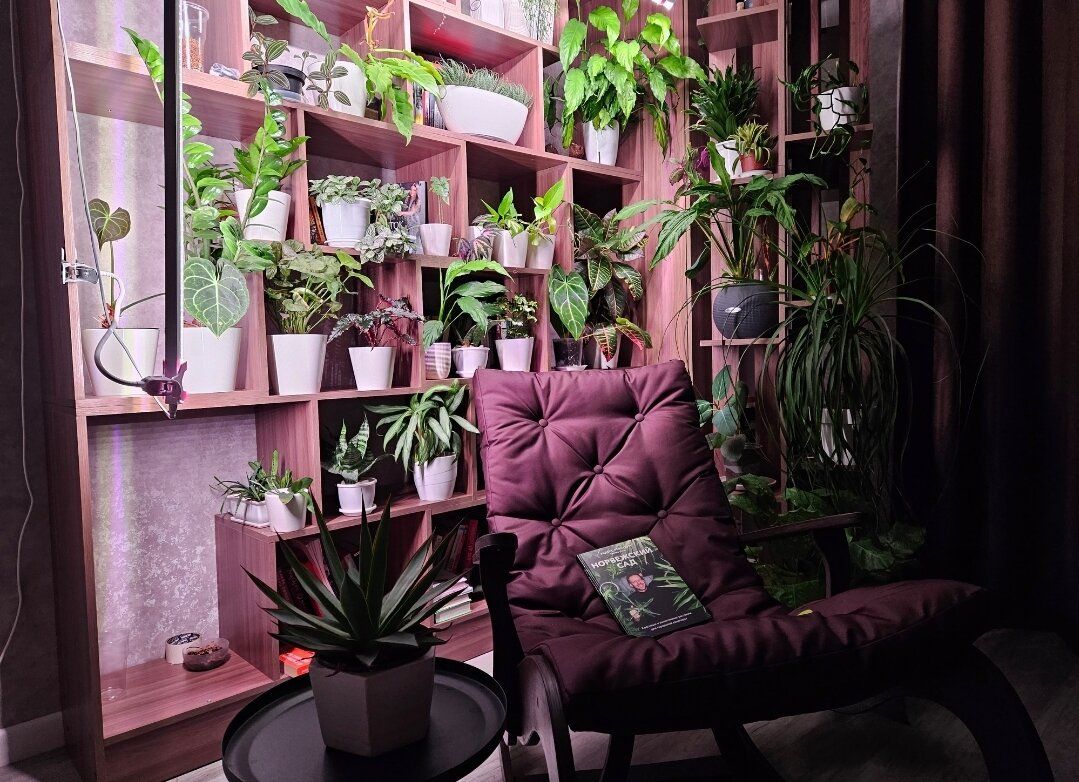 ��� ������� � ����� �������� �� ������: ������ �� ����������