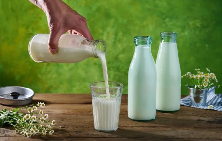 Молоко: мифы и реальность – что нужно знать о незаменимом продукте