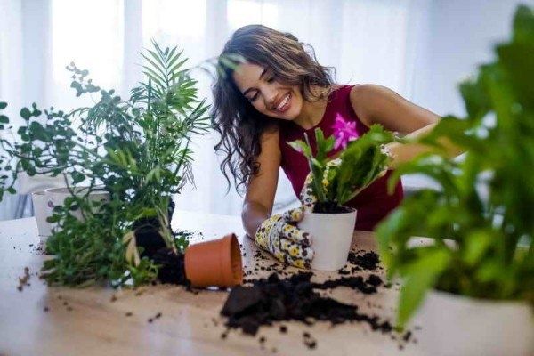 ����������� ������� ������ � �������� � ������� �������� ��������