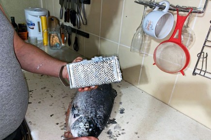 ��� ���������� �������� ����� �� ������ �����: ������� � ������