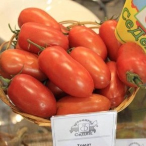 ����� ������: ��������� ����� ��� �������� ���� ��������