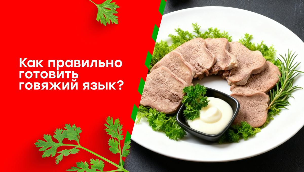 ������� ����: ������ �� ������������� � ��������� ������