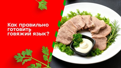 ������� ����: ������ �� ������������� � ��������� ������