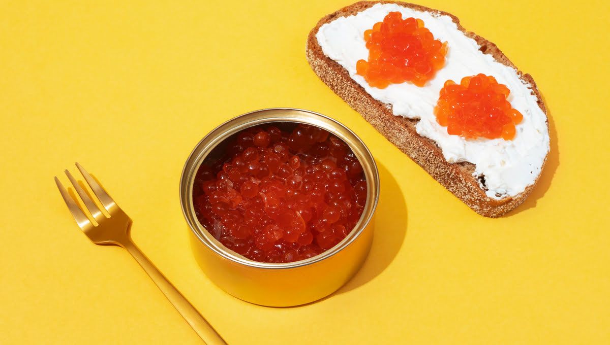 ����� ������� ����: ����������� ���������� �������� �����������