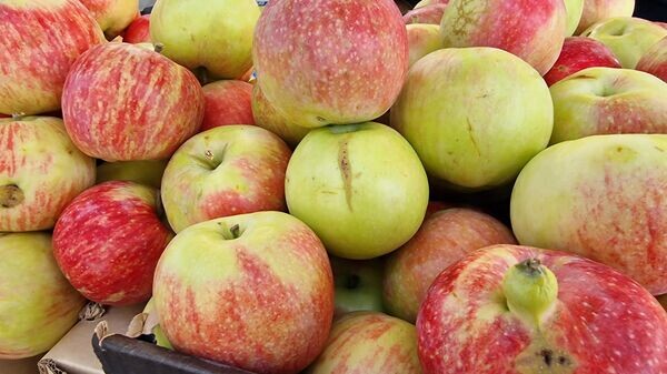 Март вводит потолок цен на овощи из стабфондов