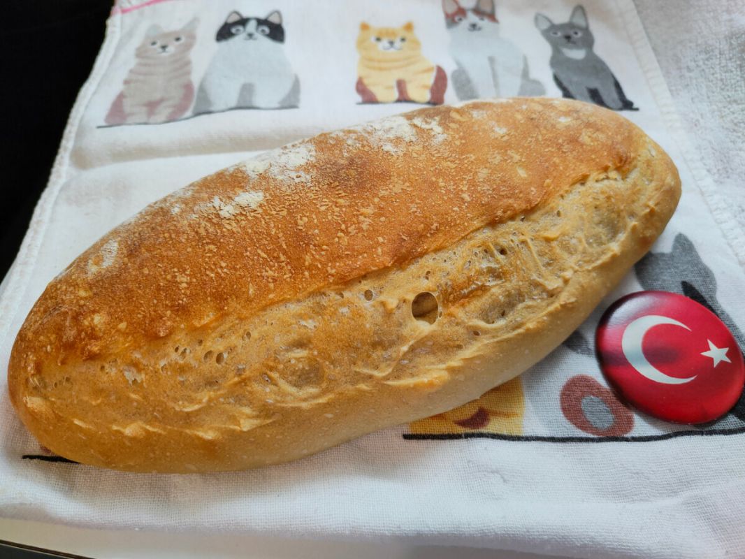 ��������� �������� ����