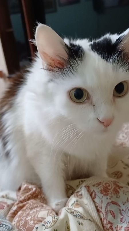 �����: �������� ������ ���� � ������� ��������