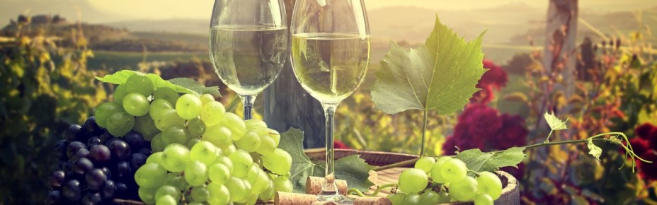 ����� ������������ ����� ����� ��� �� ���