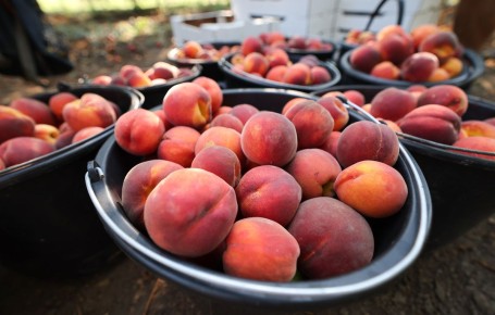 ��������: ������� ������ ��� �������� ������