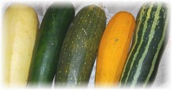 ������� �������� ��������: ��� ��������� �������� �� ���������� ������