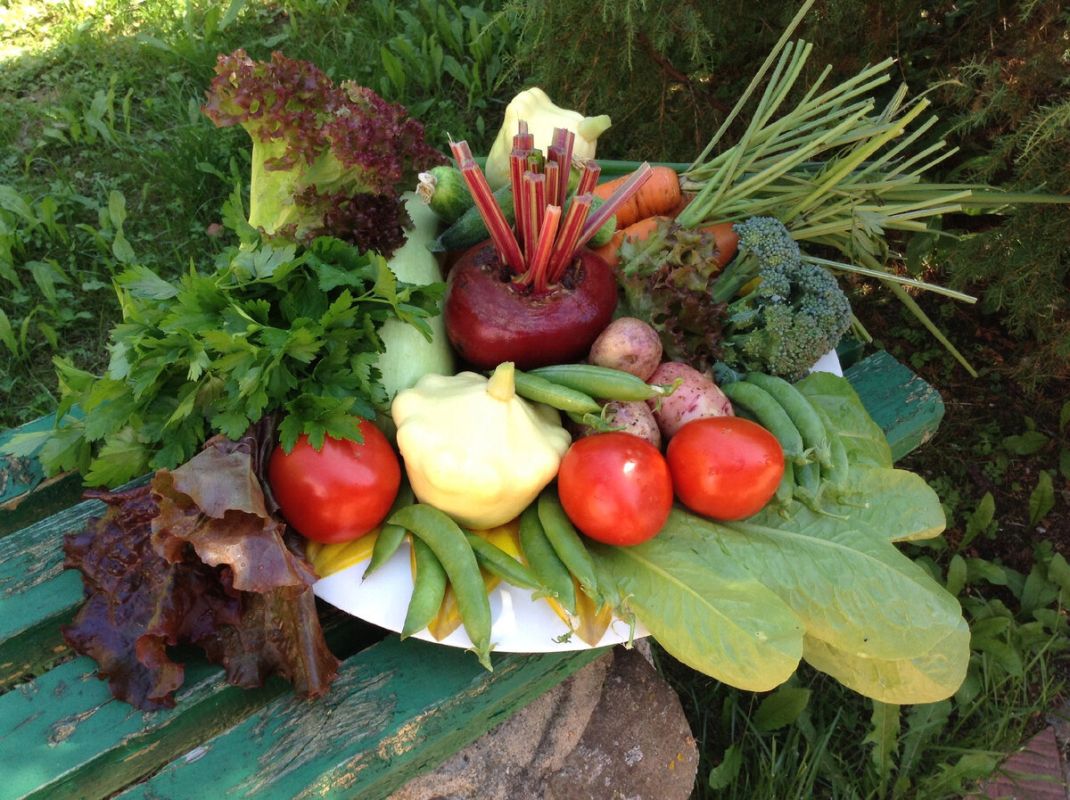 ��� ������� ��� � ��������� ��������