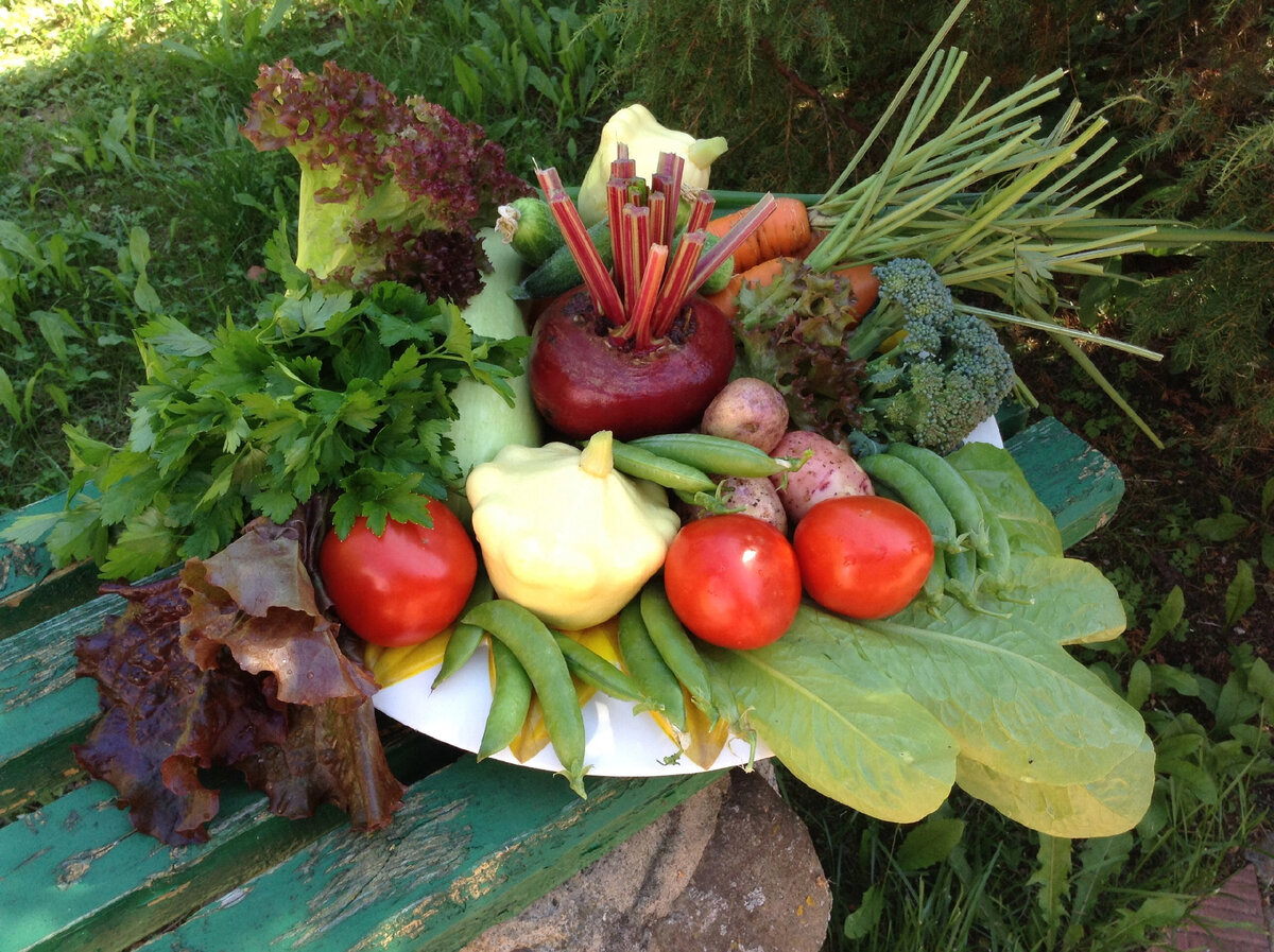 Как растить еду в городских условиях