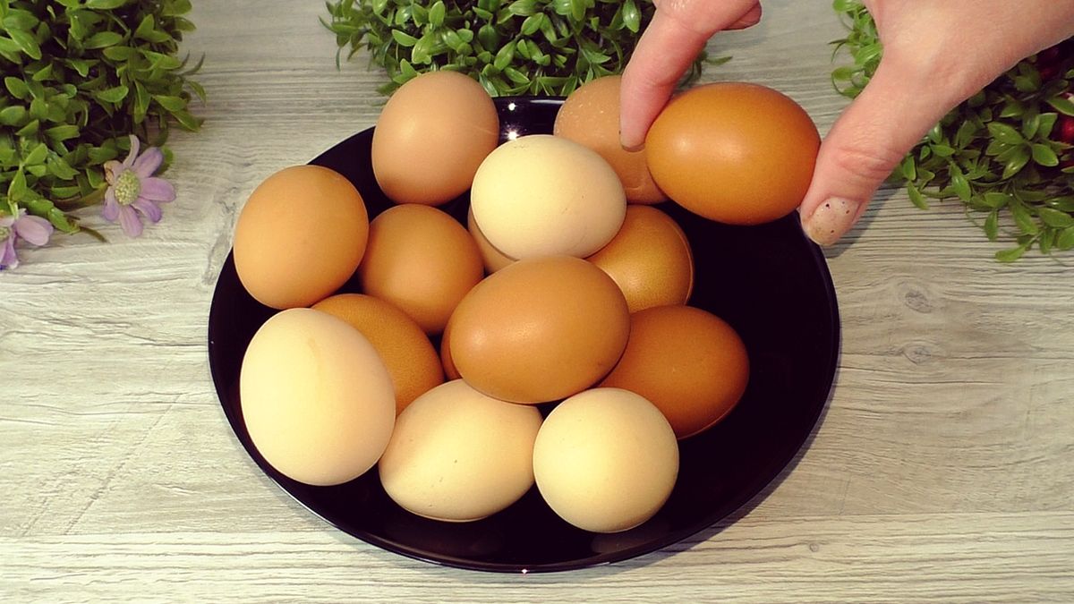 ��� ����� �������� ������ �������� ����: ��������� ���� ������