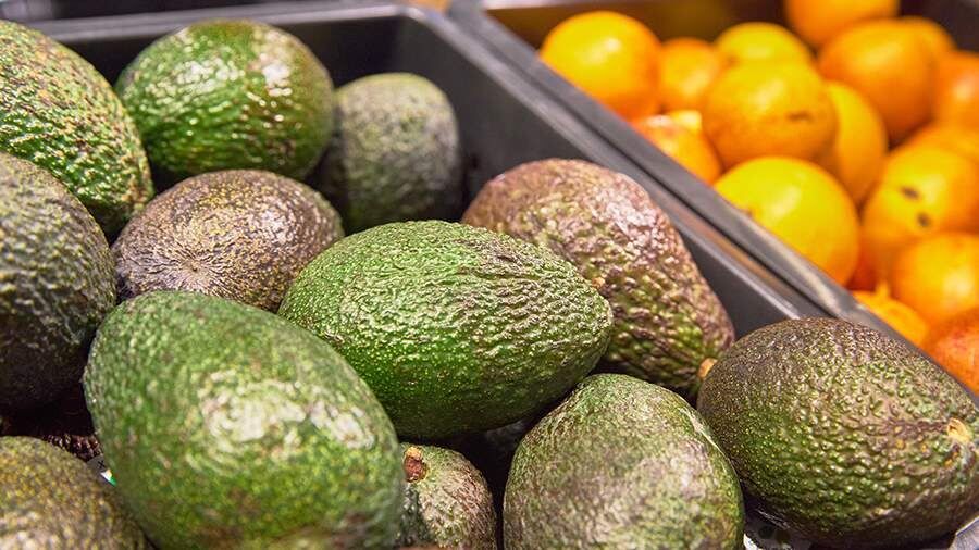 ��� ������� ����� ������� ���������� ����������� ��� ������ �����������