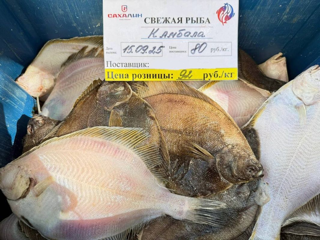 ������ ������� �� ��������������� ���� � ����� ������ ������