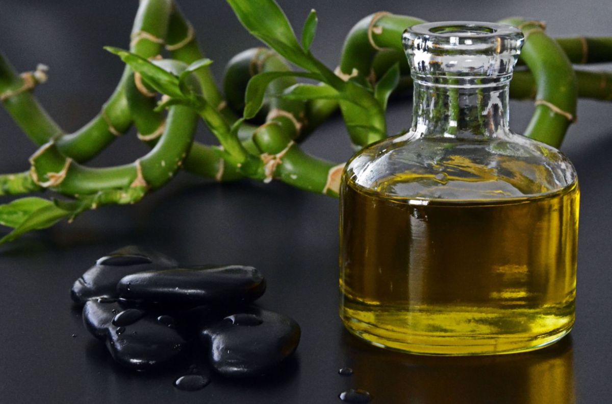 ��������� �����: ��������� ����� �� �������� � ����������