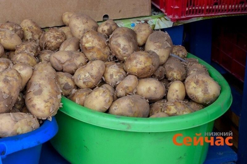 ������������� ��������� �������� ��������� � ������������