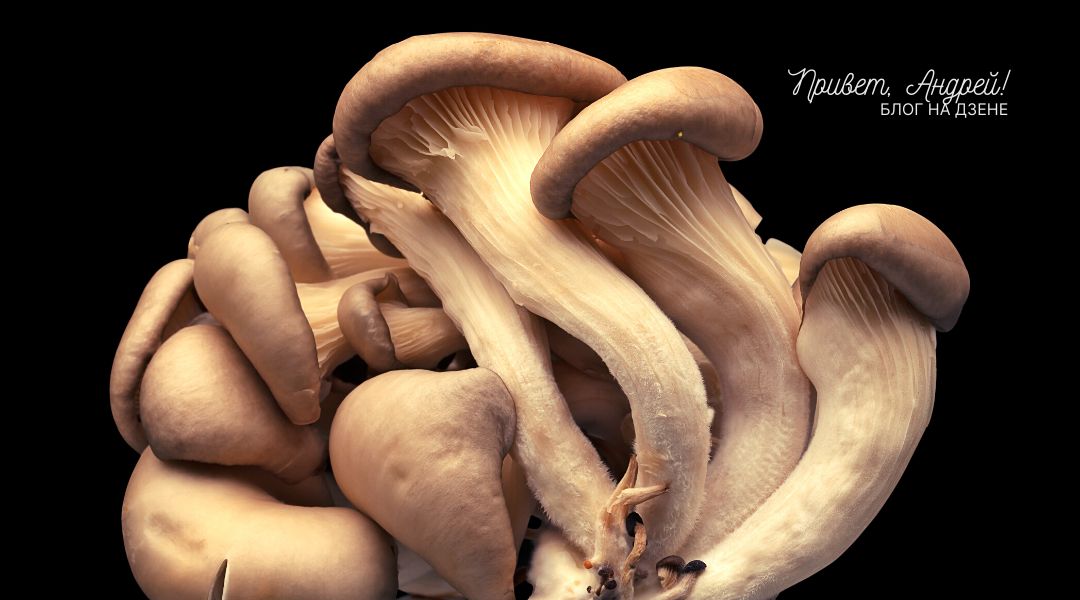 ������� ������� �� �������: ������ �� 10 �����