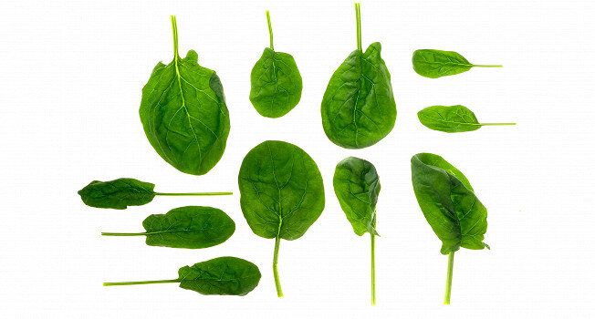 ������: ����� ��������� �����������