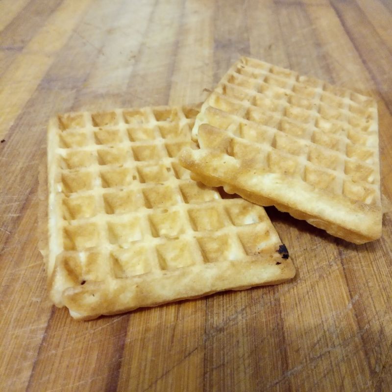 ���� �������: ������ ������ �� 1931 ����