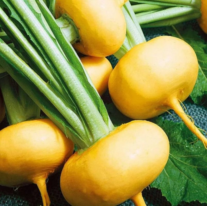 �������������� ��������: 12 ���������� �������� �� ����