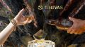 Как выбрать идеальный виски Chivas Regal: советы от экспертов