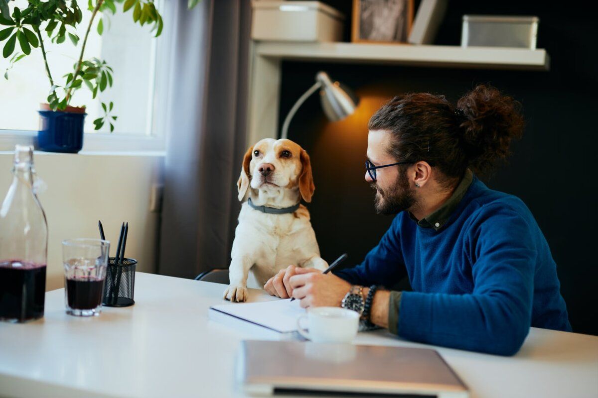 ��� ������� ���������� ������� ��� ������ ����