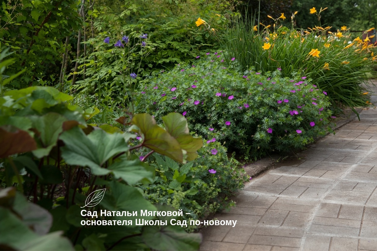 Как создать идеальный цветник: секреты успешного оформления