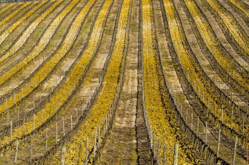 ��� �������� ��������� �� ������������� ���������