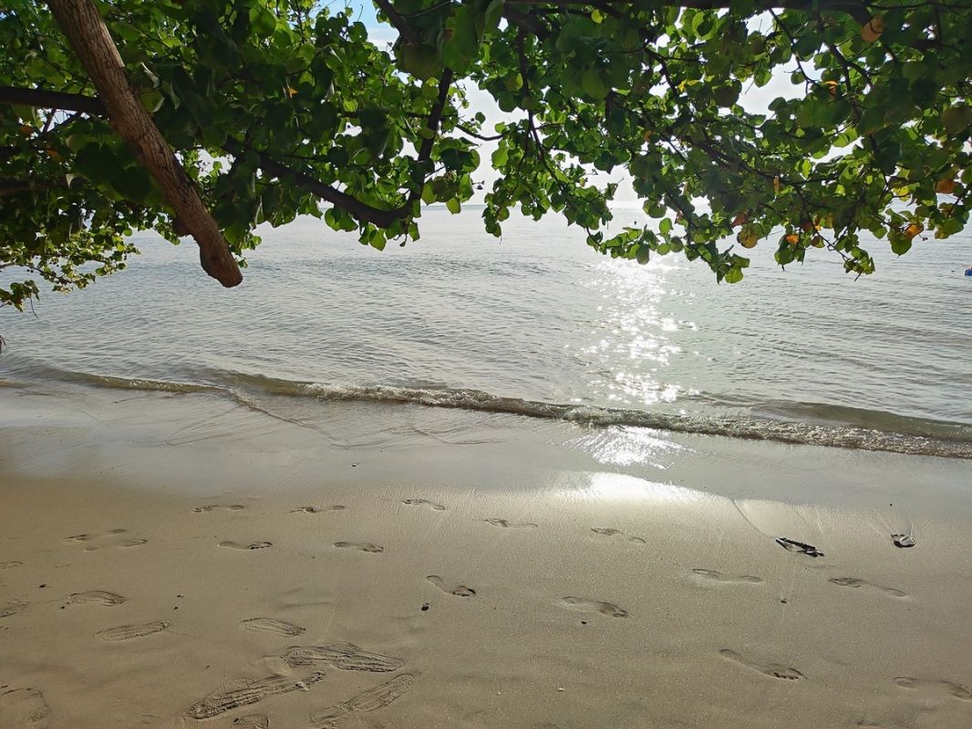 ������� �����������: ��� ������� ����� ������������� �� ������� ����