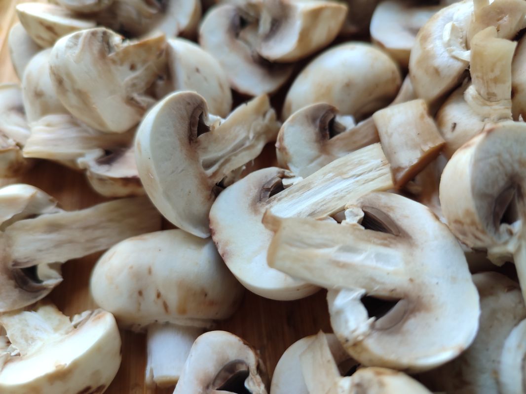 ������ �������: ����� ���� ��� �������� ����� � �������� ������������