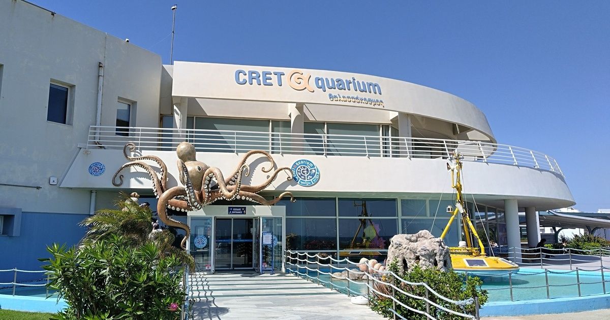 ������ �� ����: ��� ������������ ���� ����� ����� �������� ����������������� �����