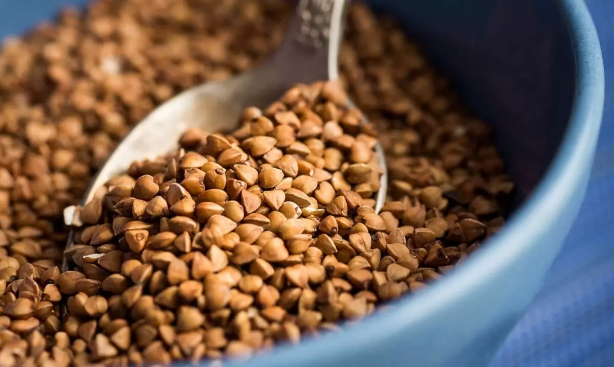 Гречка: секреты приготовления, которые превратят любимую крупу в кулинарный шедевр