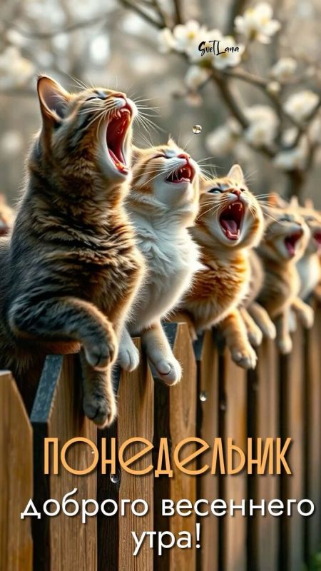 ���������� ������� ������������: ����� � ������