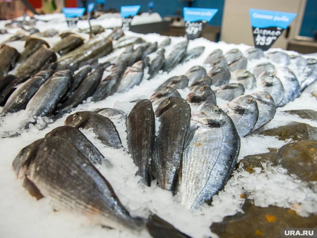 ��� �������� ���������� ����������� ����: ����� ������ � freshness