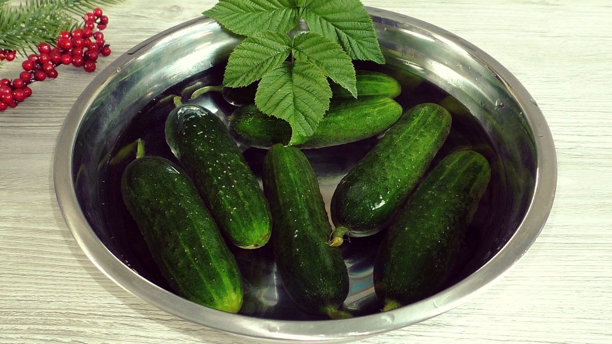 ��������� ������ �� 10 �����: ��������� ������� � ������� ��� ��������