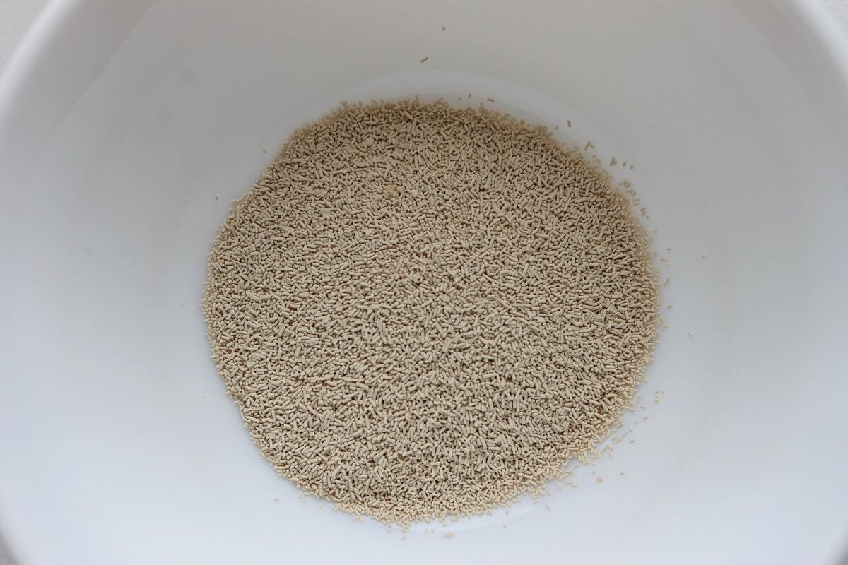 ����������� ���������������� ����: ��� ������ ��������� ����� ���� �� ������� ���� ��������