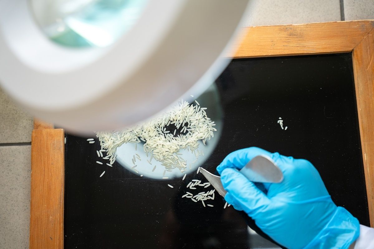 ����� ��������� ��� ��������: ������ ���������� ����� ��� ����