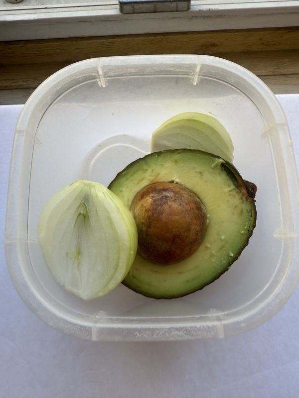 �� ����� ������� ���������: ����������� ������ ���������� ��������