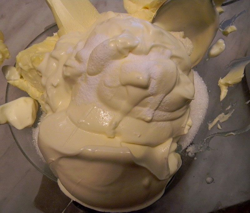 ���� �������