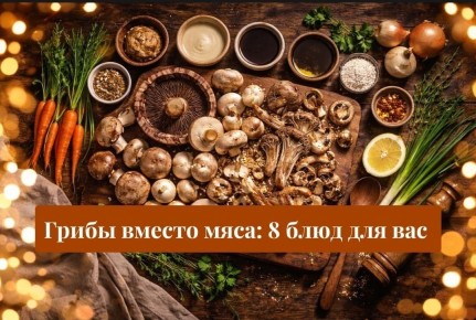 ����� ������ ����: ������ ����� ���� ��� ������� �����������