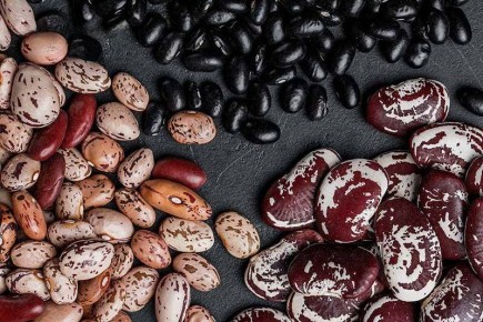 ������: ������ ������� ������ ��������