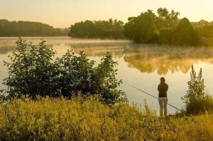 ������� ������������� ����, ������� ������� ���� ������