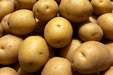 ���� �� ��������� � ������������: ��� ������� � ��������� ������